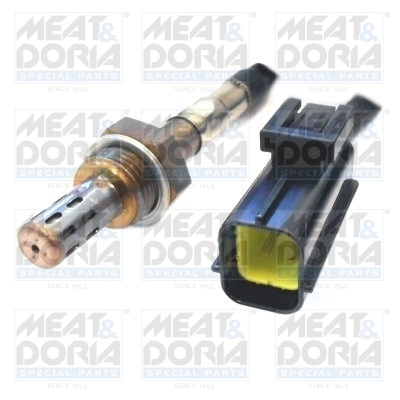 Oxygen Sensor